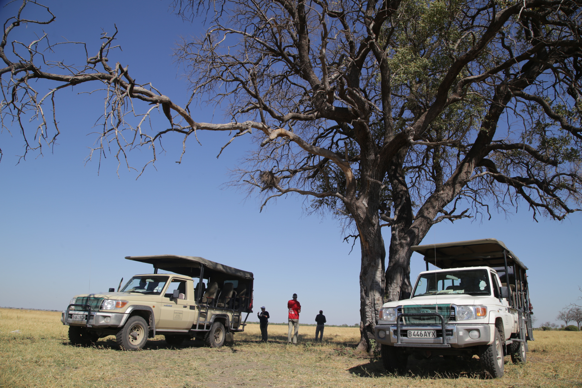 Camp et véhicule safari savuti