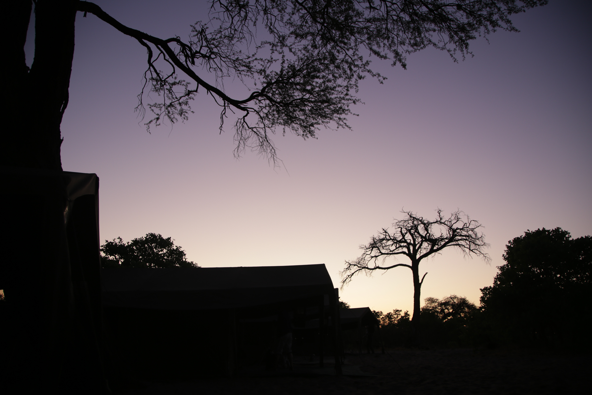 Lever soleil Savuti