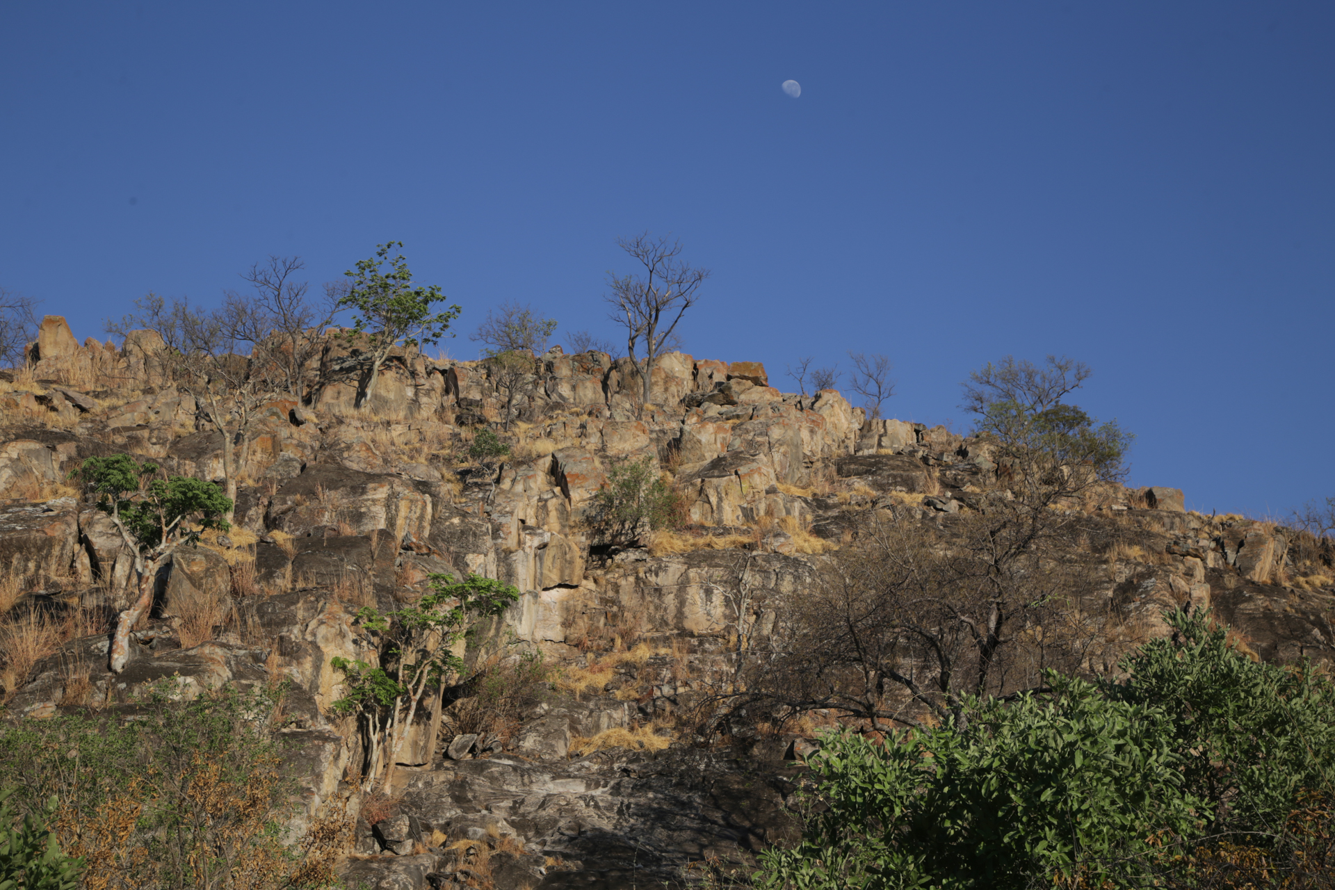 Savuti Chobe Botswana