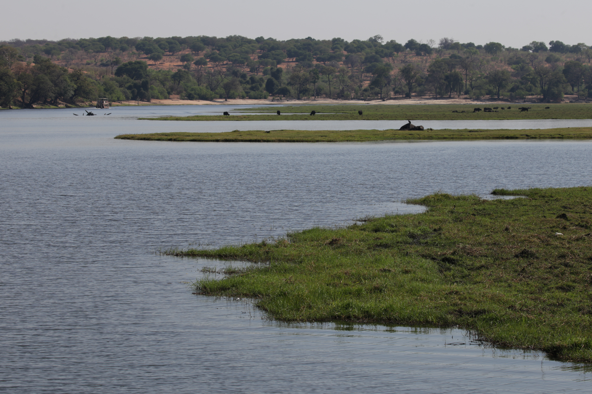 Chobe secteur Nord