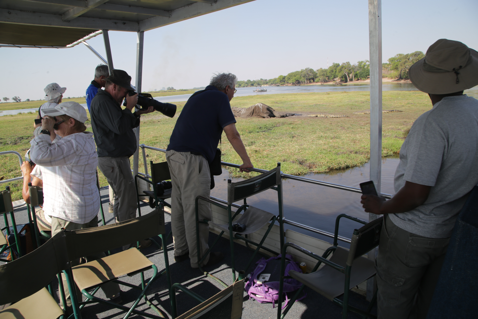 Les animaux ne se soucient guère des frontières humaines... - Parc national de Chobe, secteur Nord