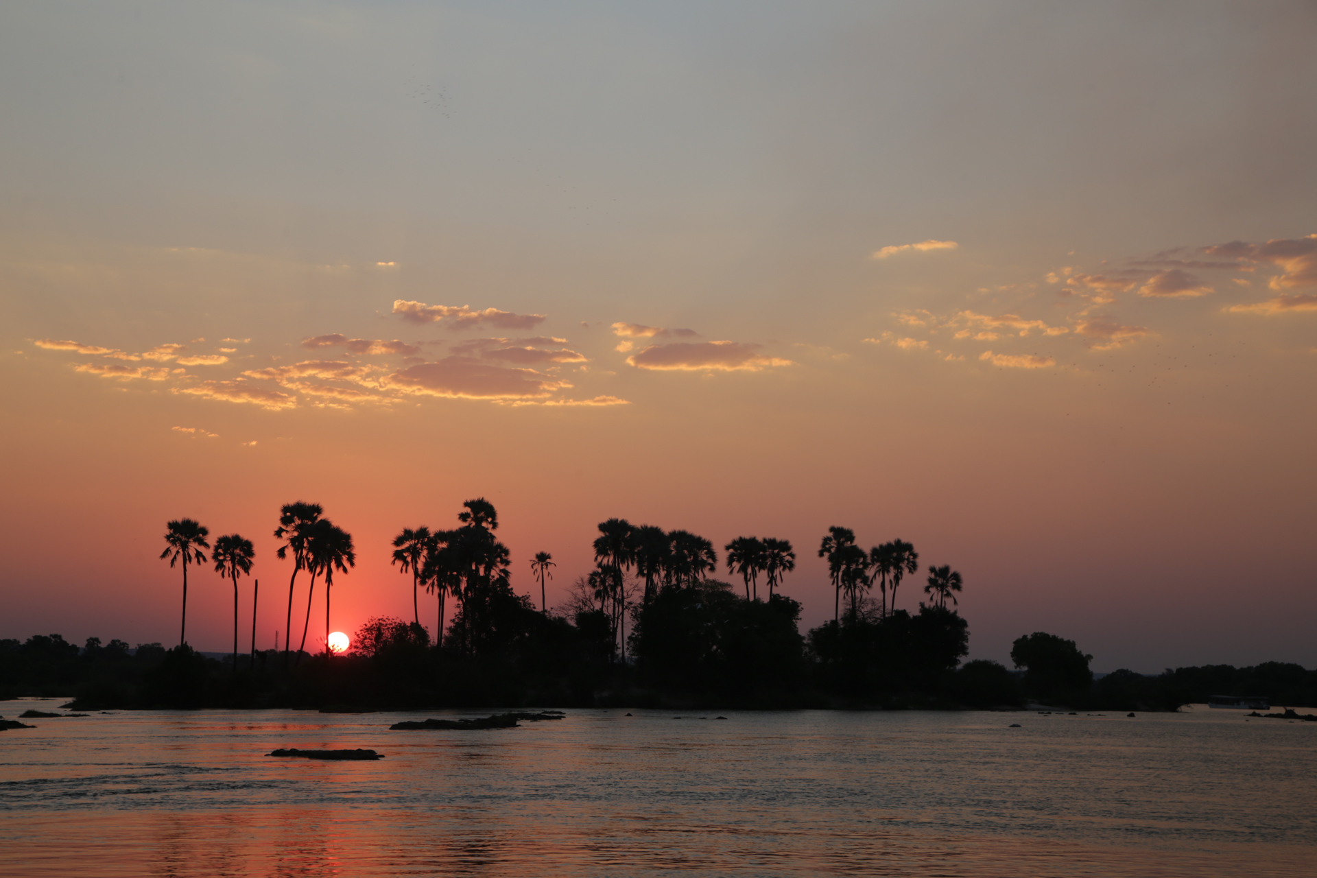 coucher de soleil navigation sur le fleuve zambèze