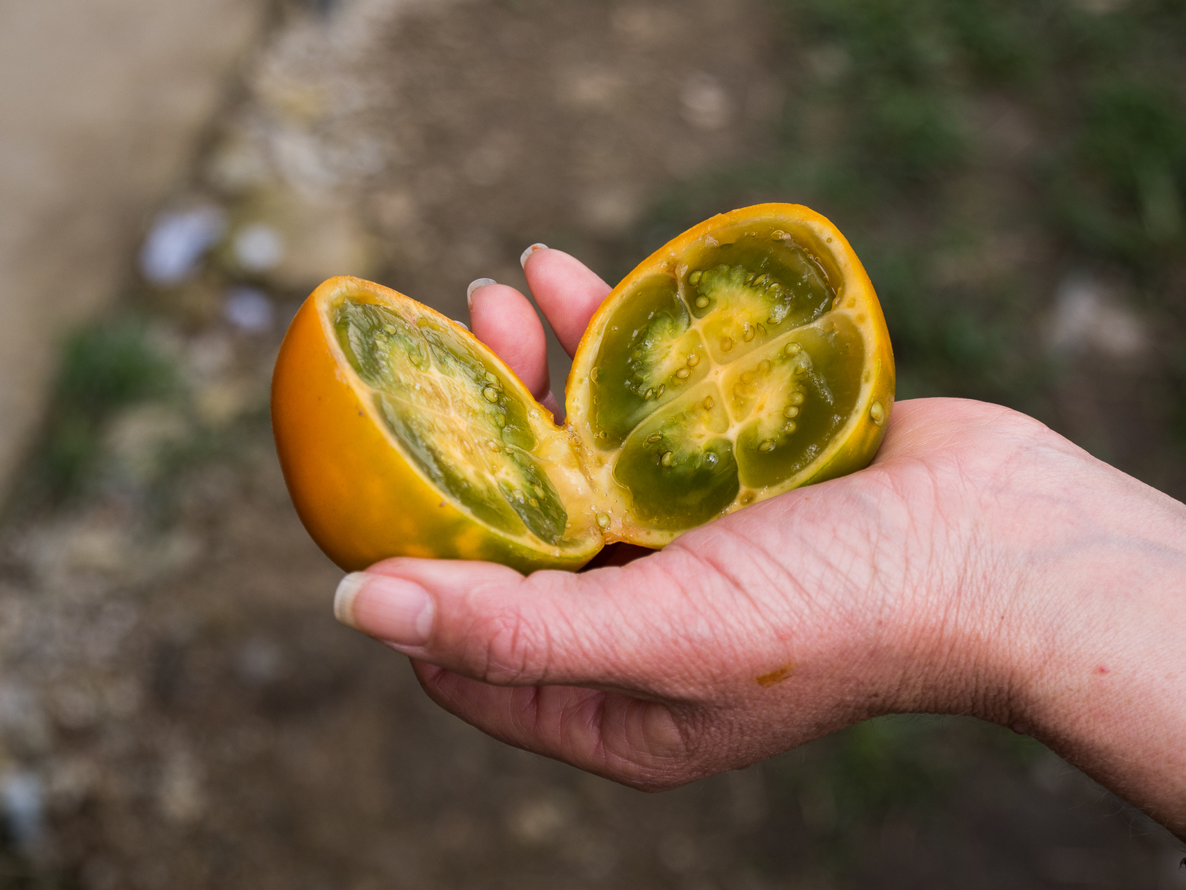 Fruit à déguster sans modération - San Augustin et ses environs