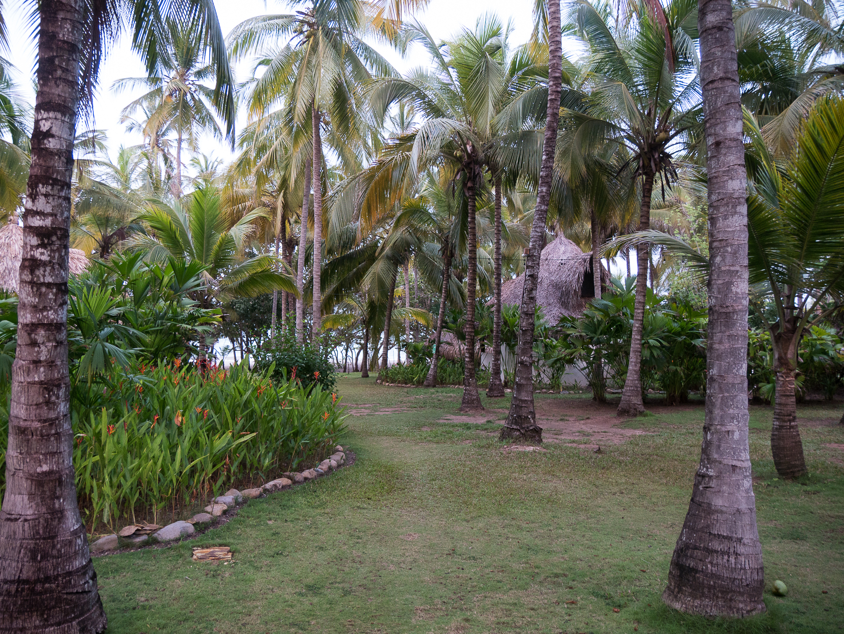 Le parc de notre éco lodge - La côte Caraïbe