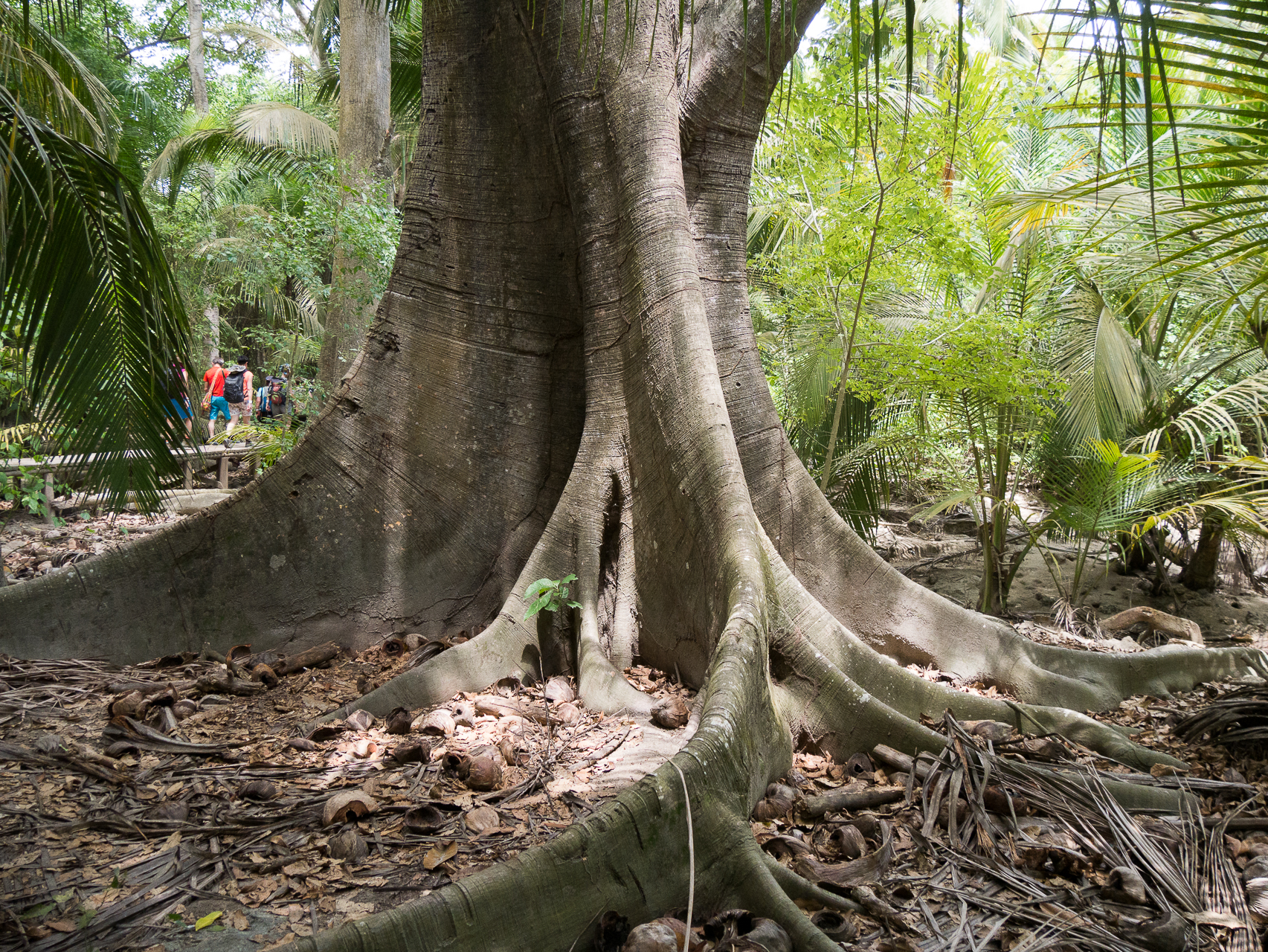 Parc de Tayrona Colombie