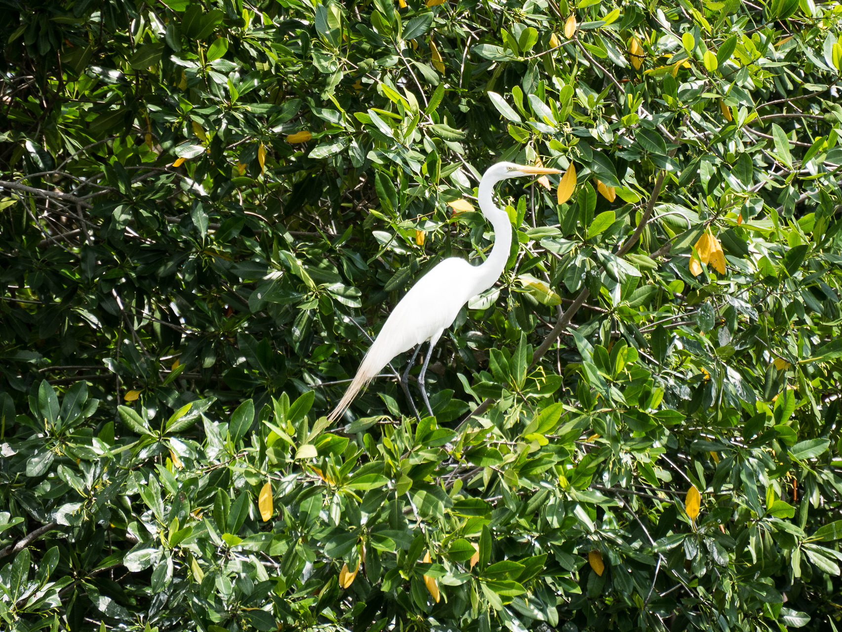 La Cienaga Colombie