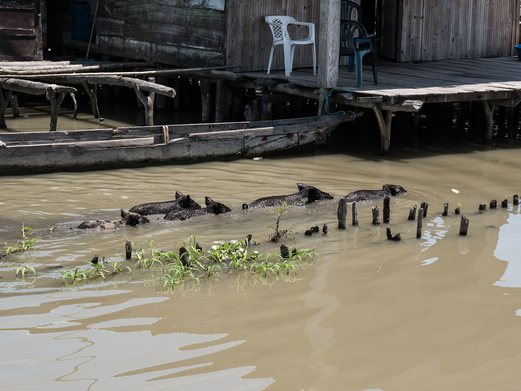 La Cienaga Colombie