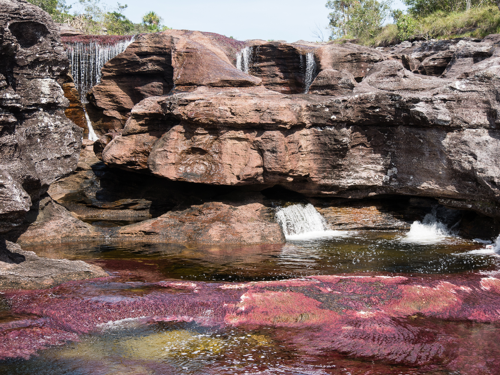 Cano Cristales Colombie