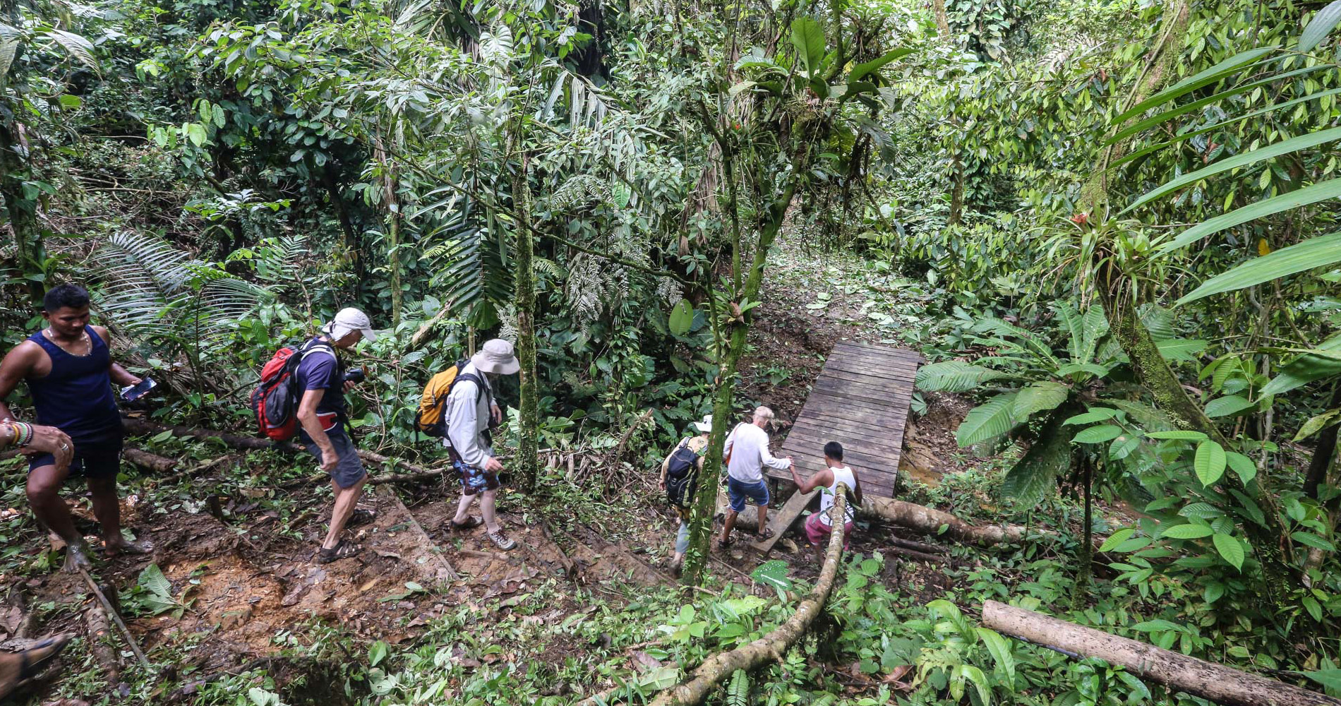 Sentier pour la cascade