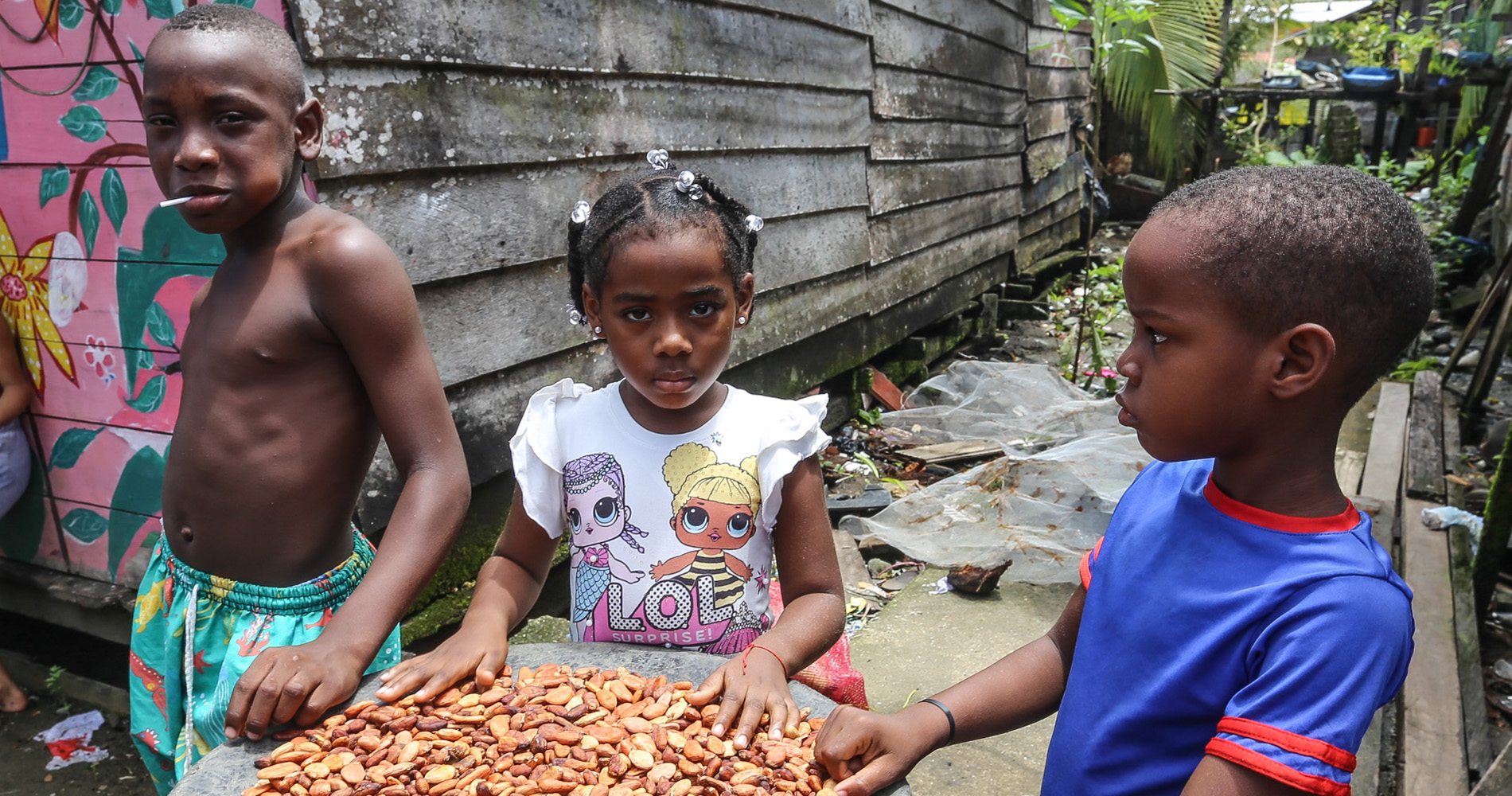 Séchage des fèves de cacao