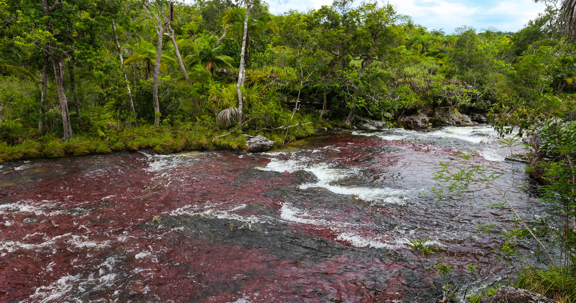 En longeant le troisième bras de la rivière