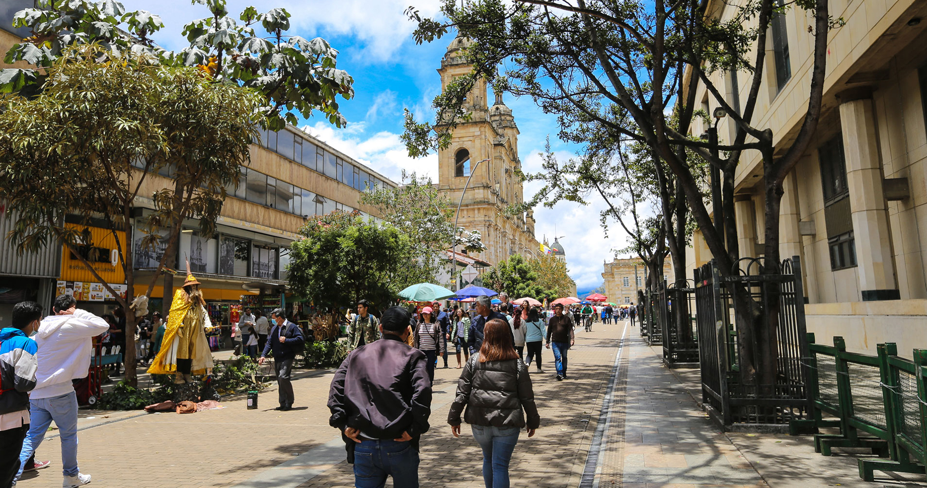 Carrera Septima