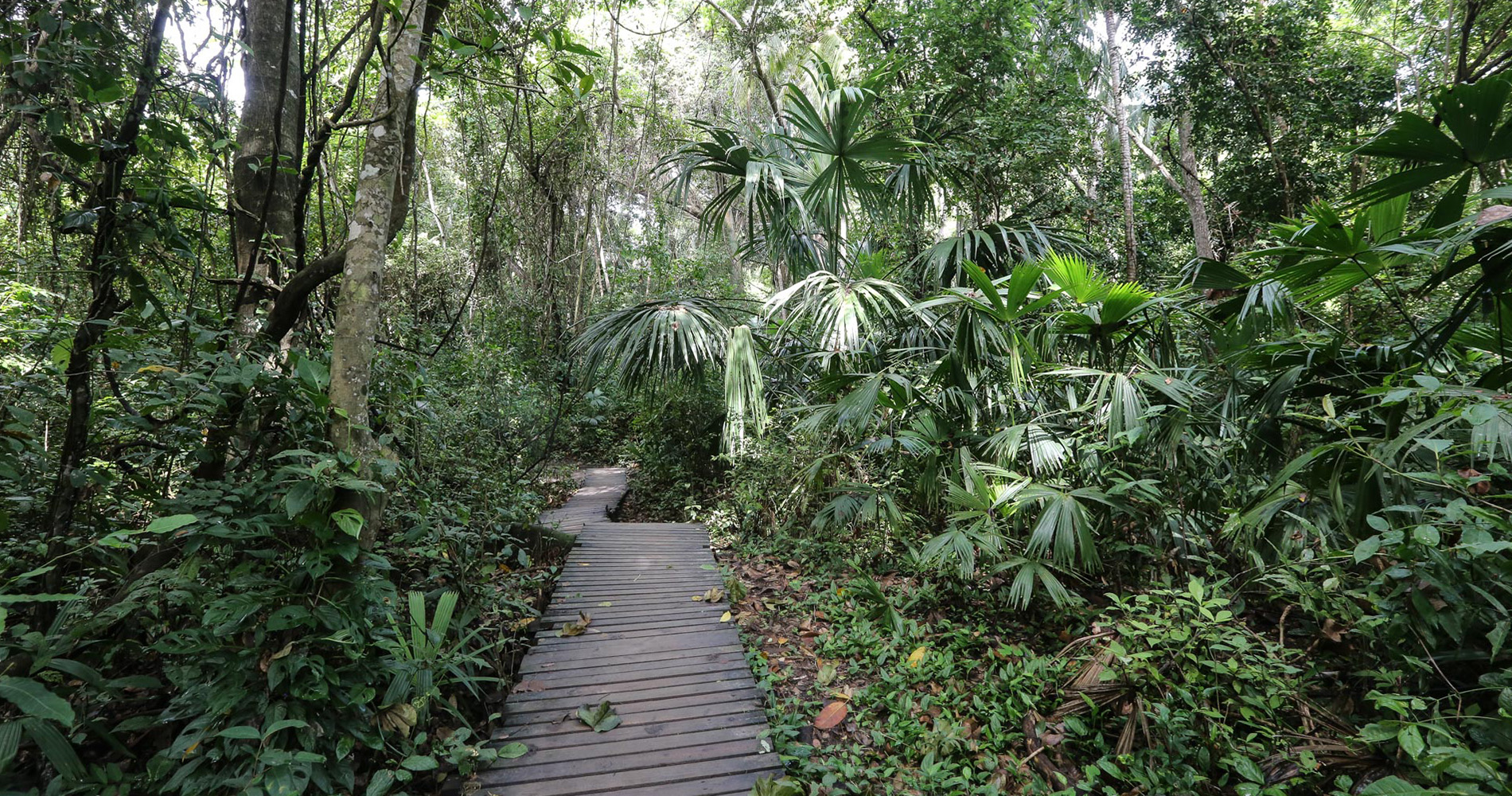 Sentier côtier du parc de Tayrona