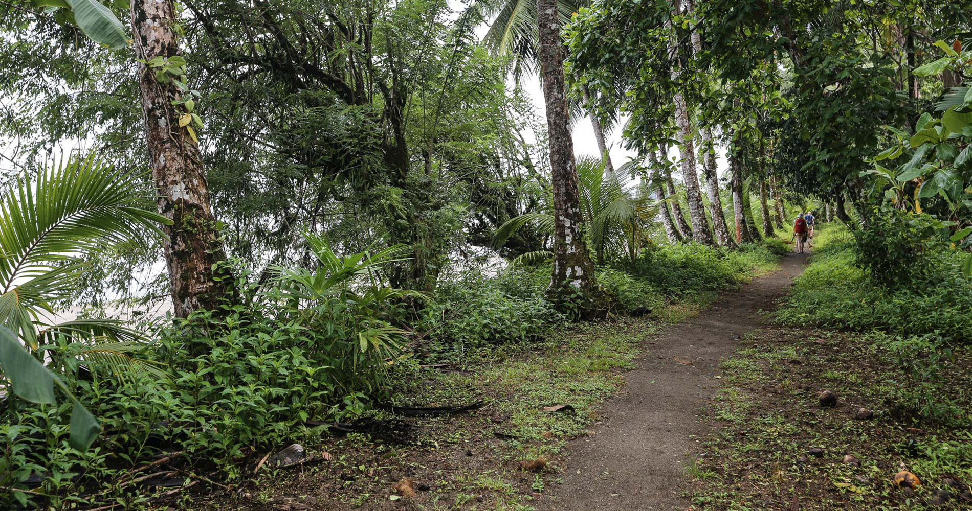 Sur le chemin entre Termales et La Kuka