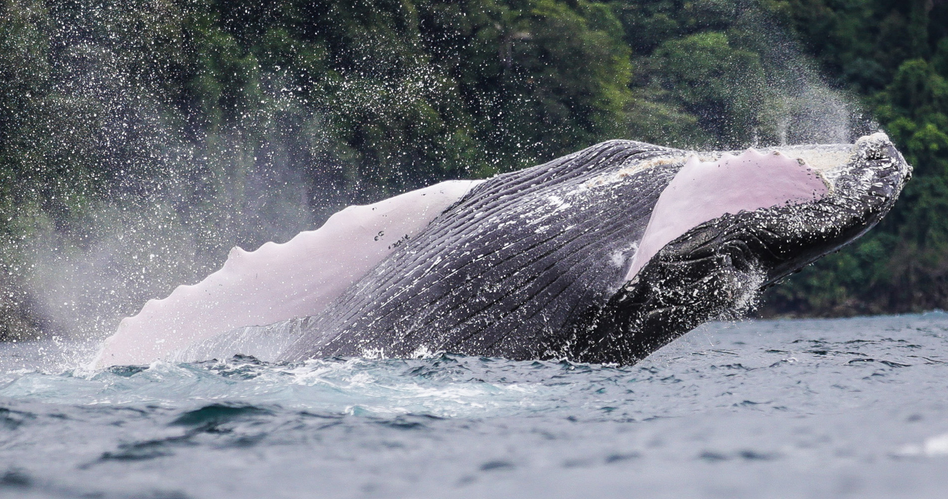 30 tonnes en l’air…