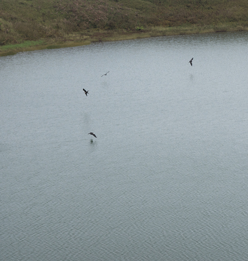 lagune El Junco