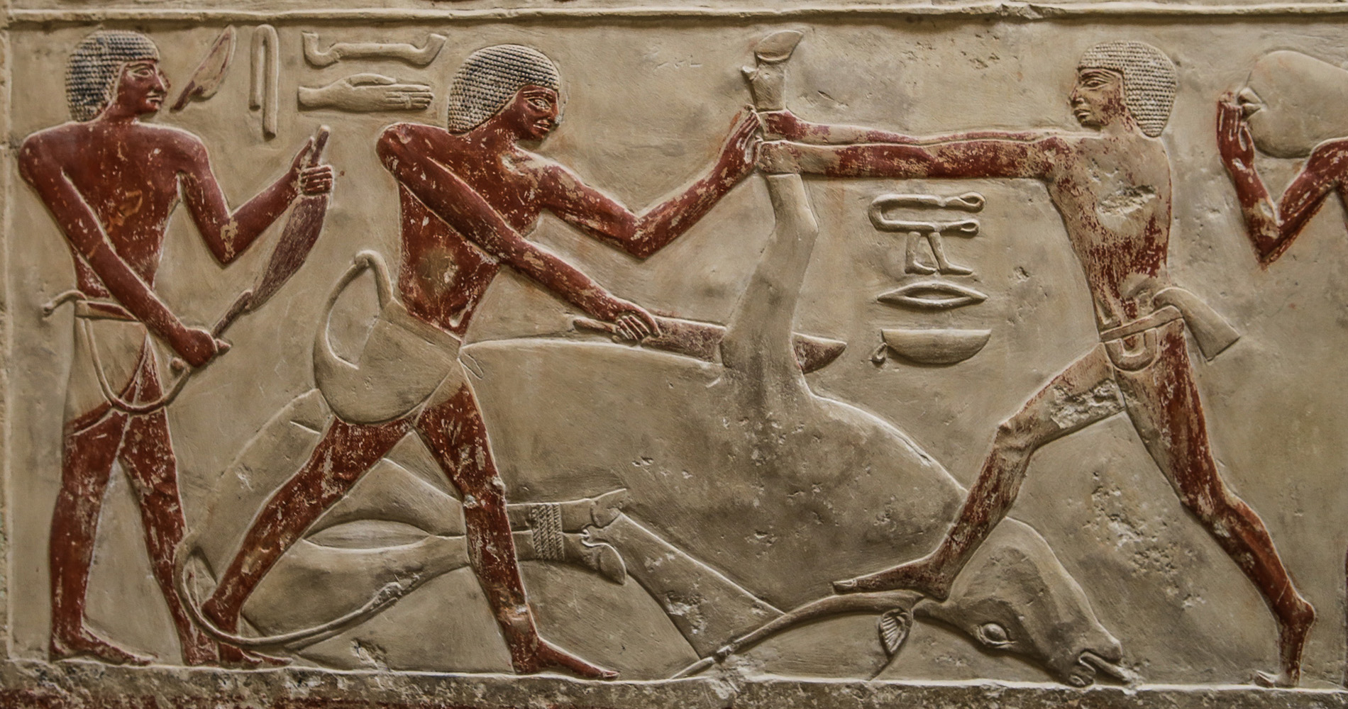 Bas-relief dans le Mastaba de Kagemni