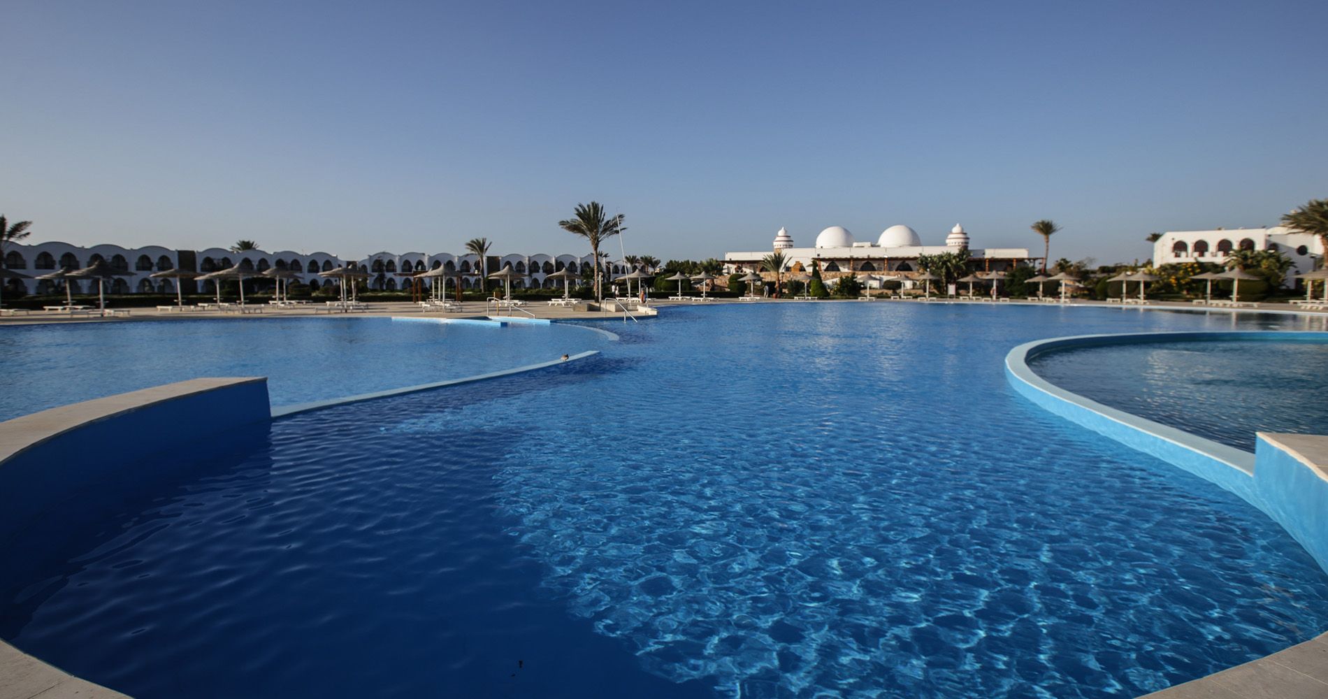 Les énormes piscines du Gorgonia