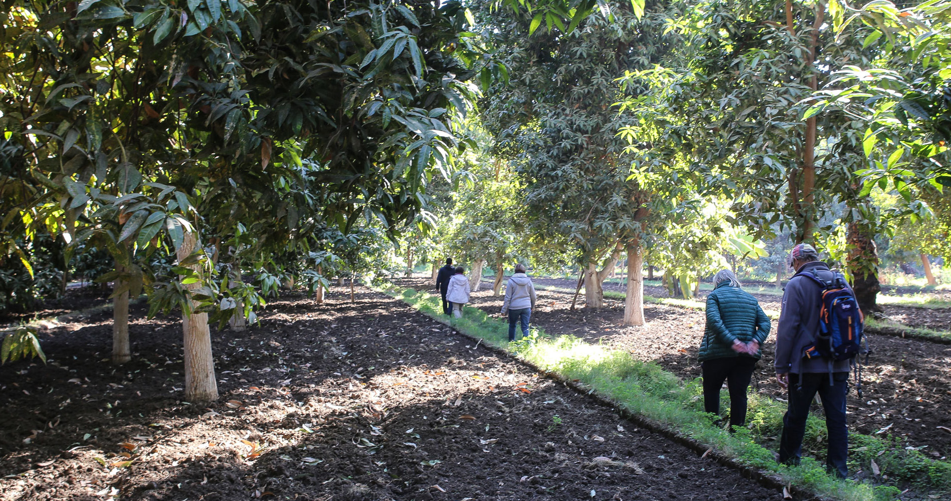 Balade entre les champs fraichement labourés