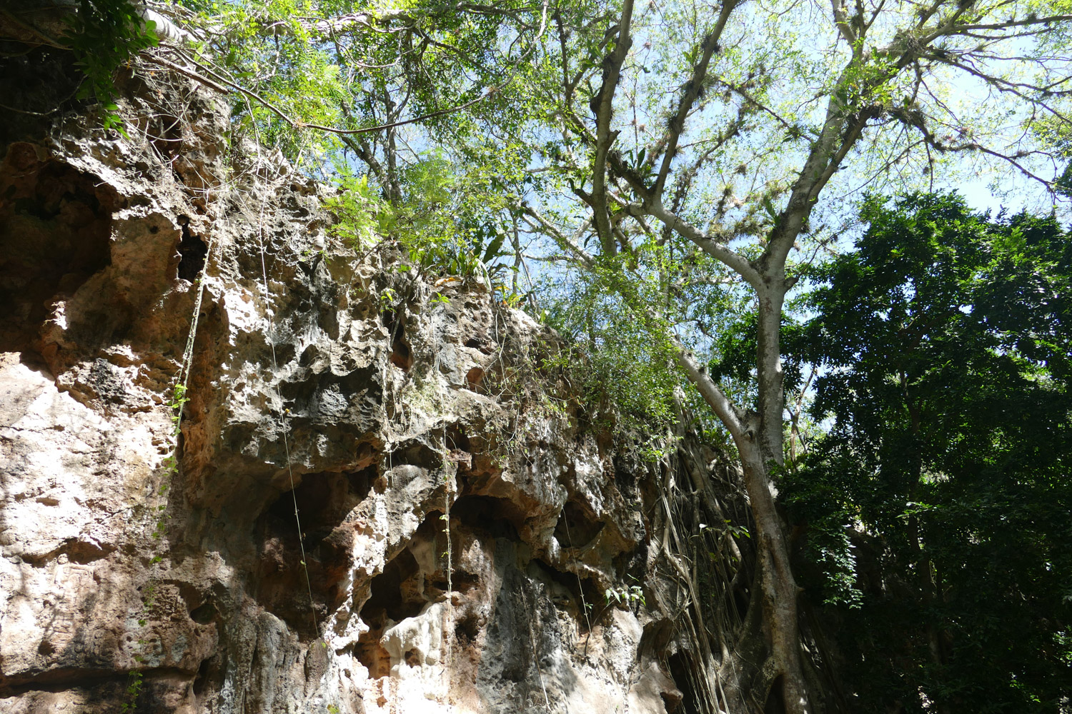 Grottes de Loltun 