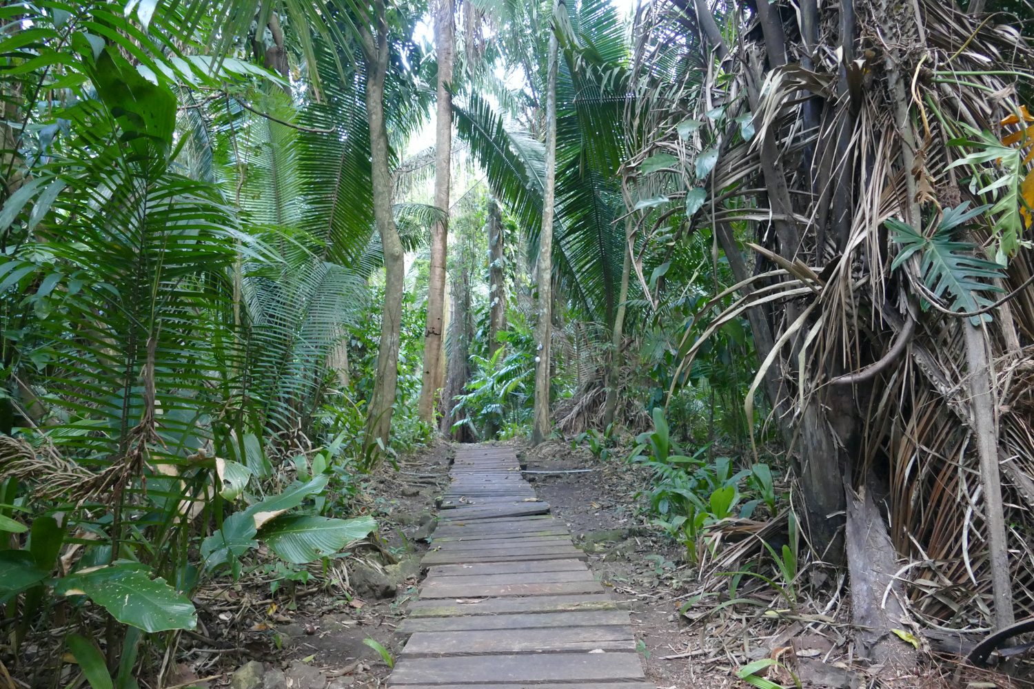 Lodhe Chiminos Island