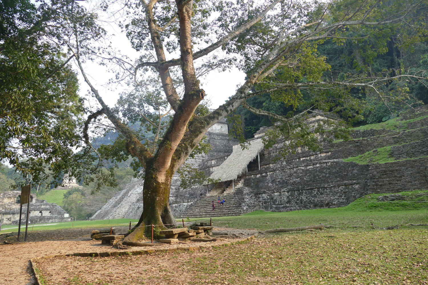 Palenque