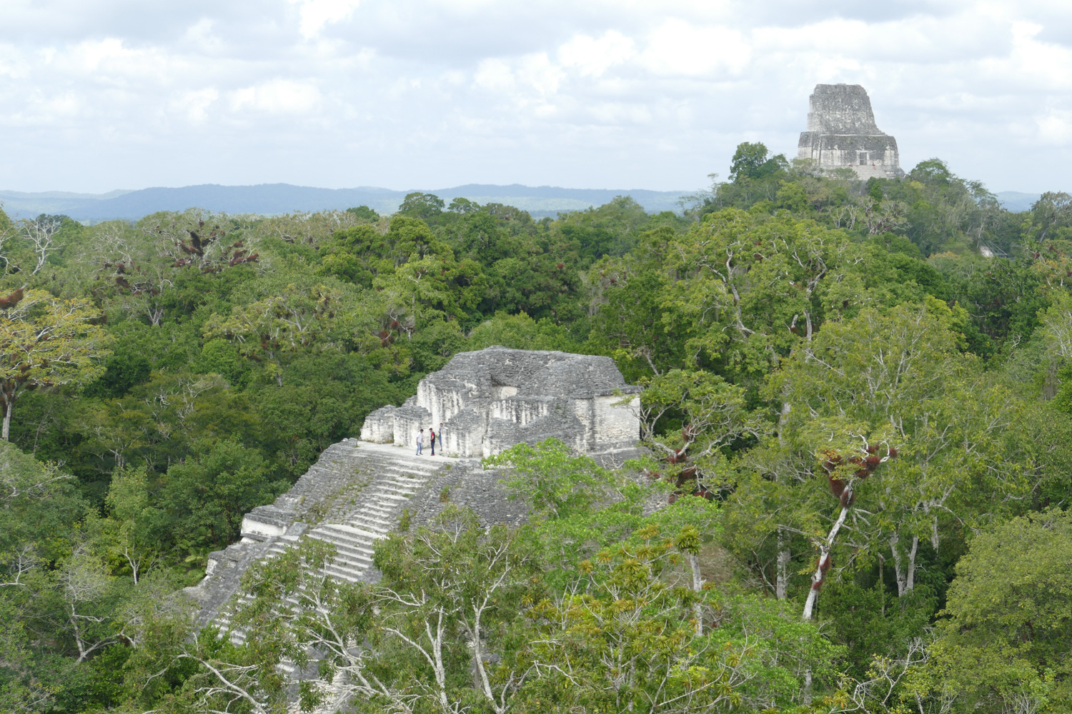 Tikal