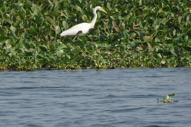 Backwaters