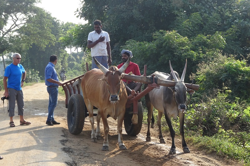 Pondichery