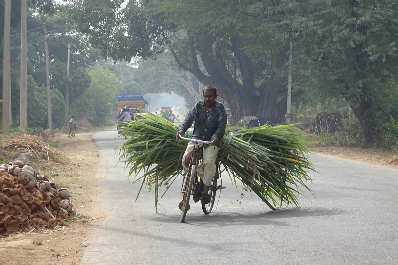 Somnathpur