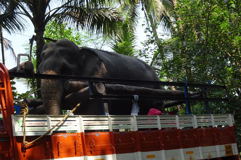 En route pour Munnar