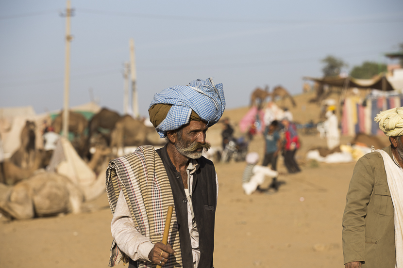 Festival pushkar