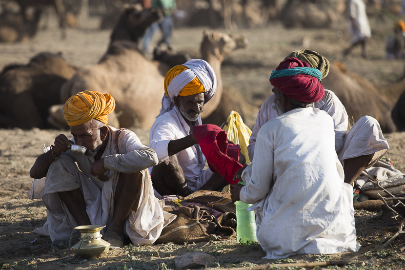 Festival pushkar