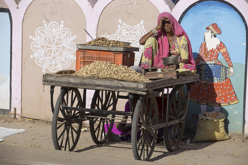 Festival pushkar