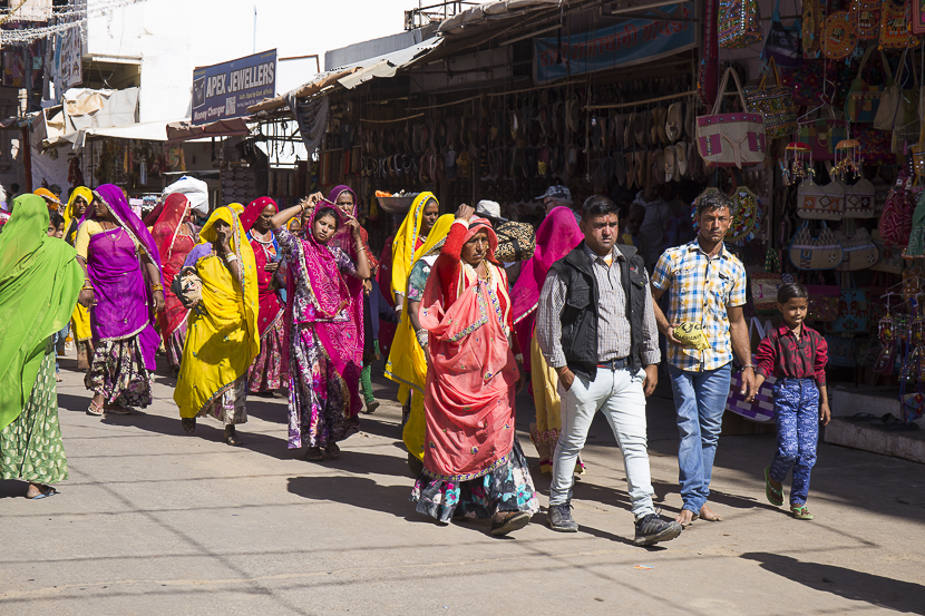 Festival pushkar