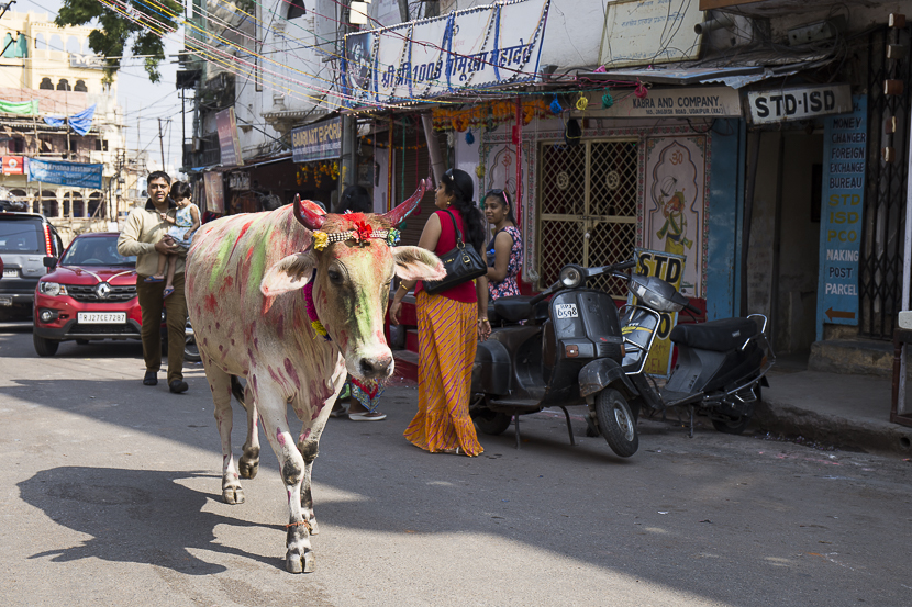 De Delhi à Udaipur