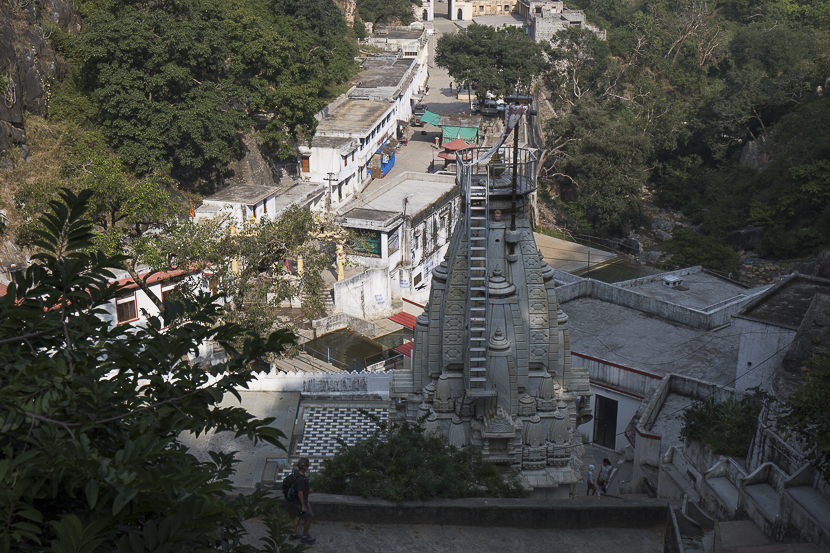 De nombreux singes attendent des offrandes - Parshunath, Ranakpur et temple d'Adinath