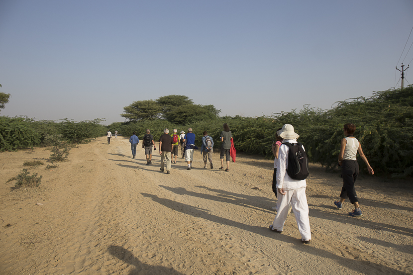 Balade EN ROUTE POUR JAISALMER