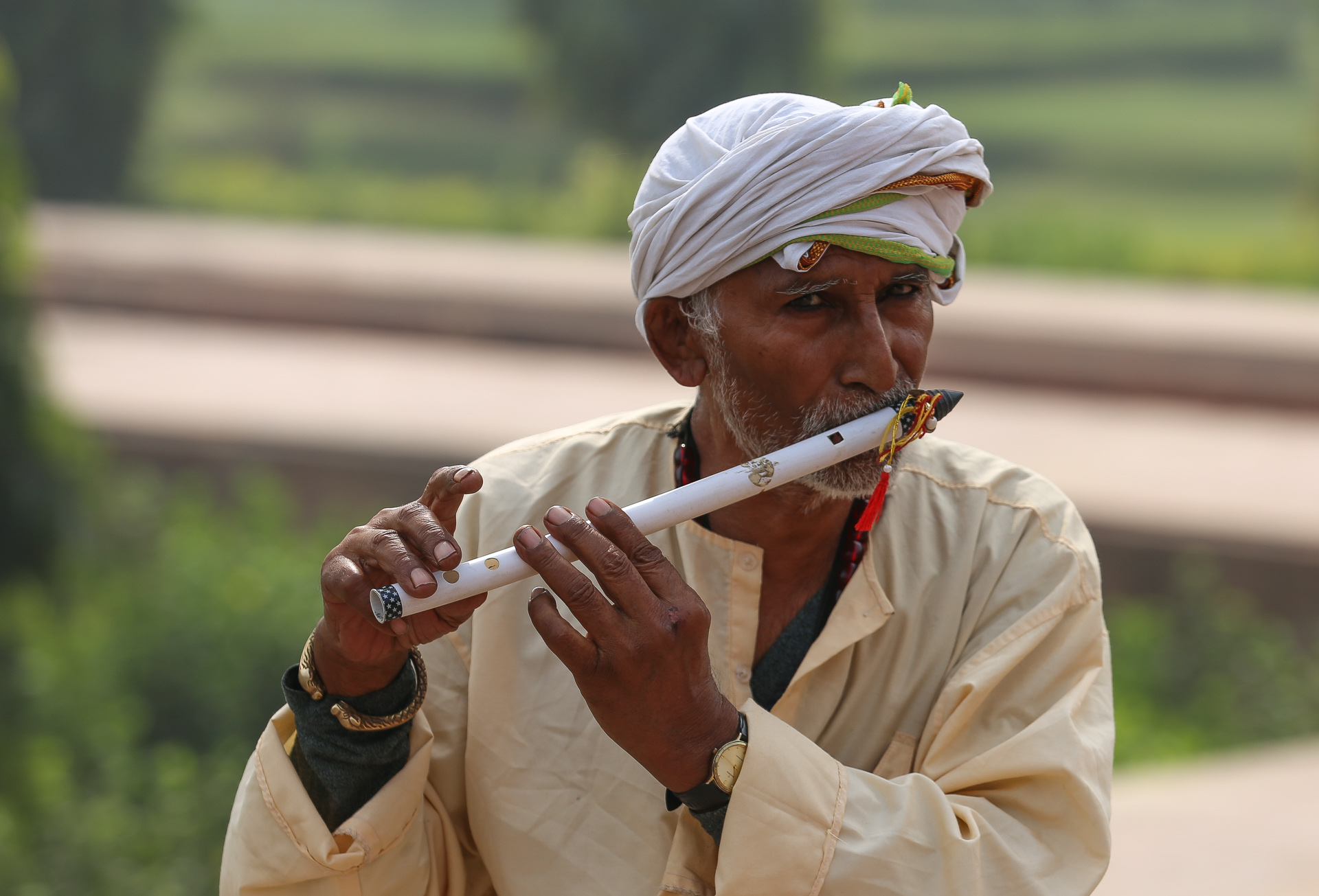 Symbole de l'Inde, la vache sacrée - Deeg et Alwar