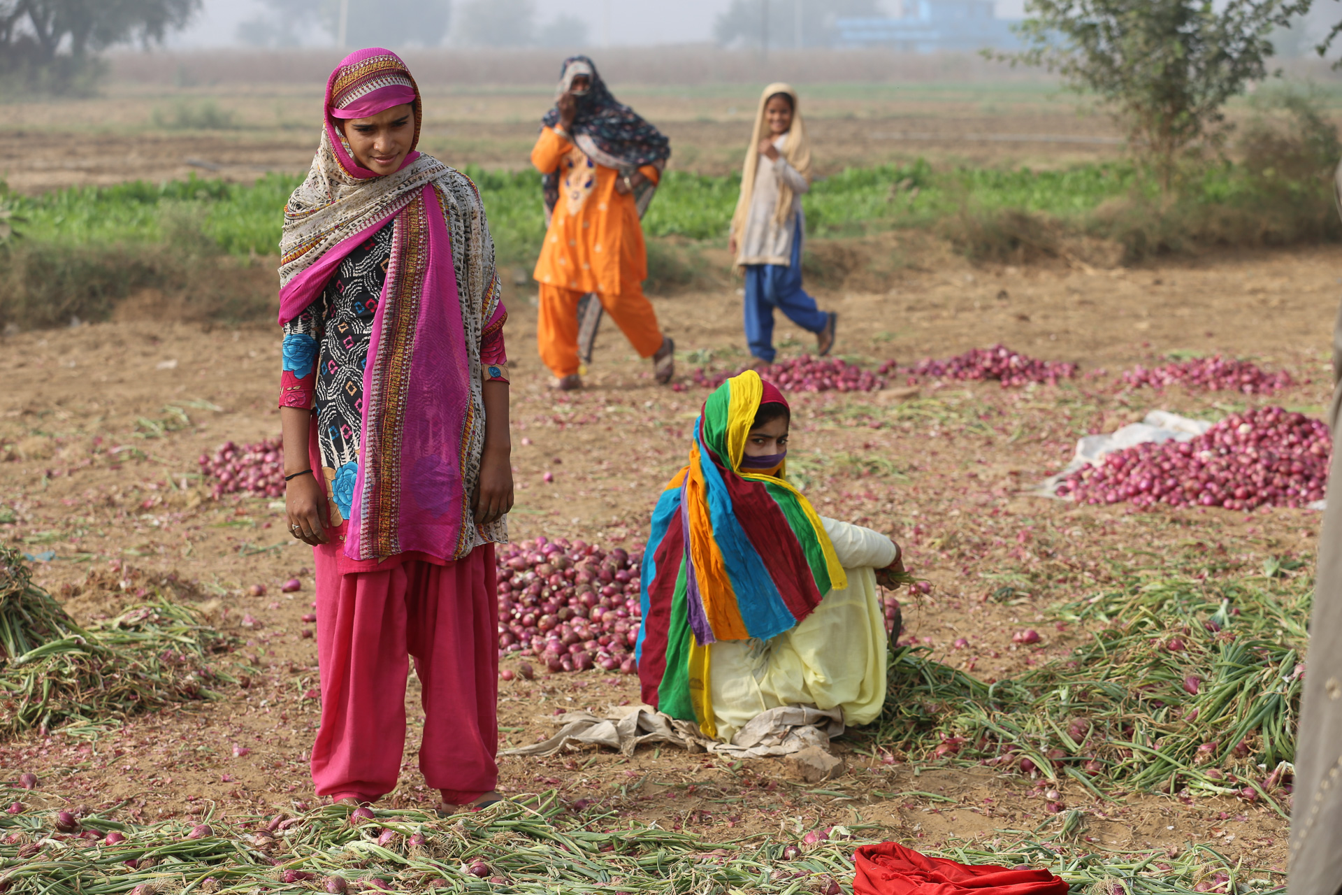 Entre Alwar, Delhi et Bombay