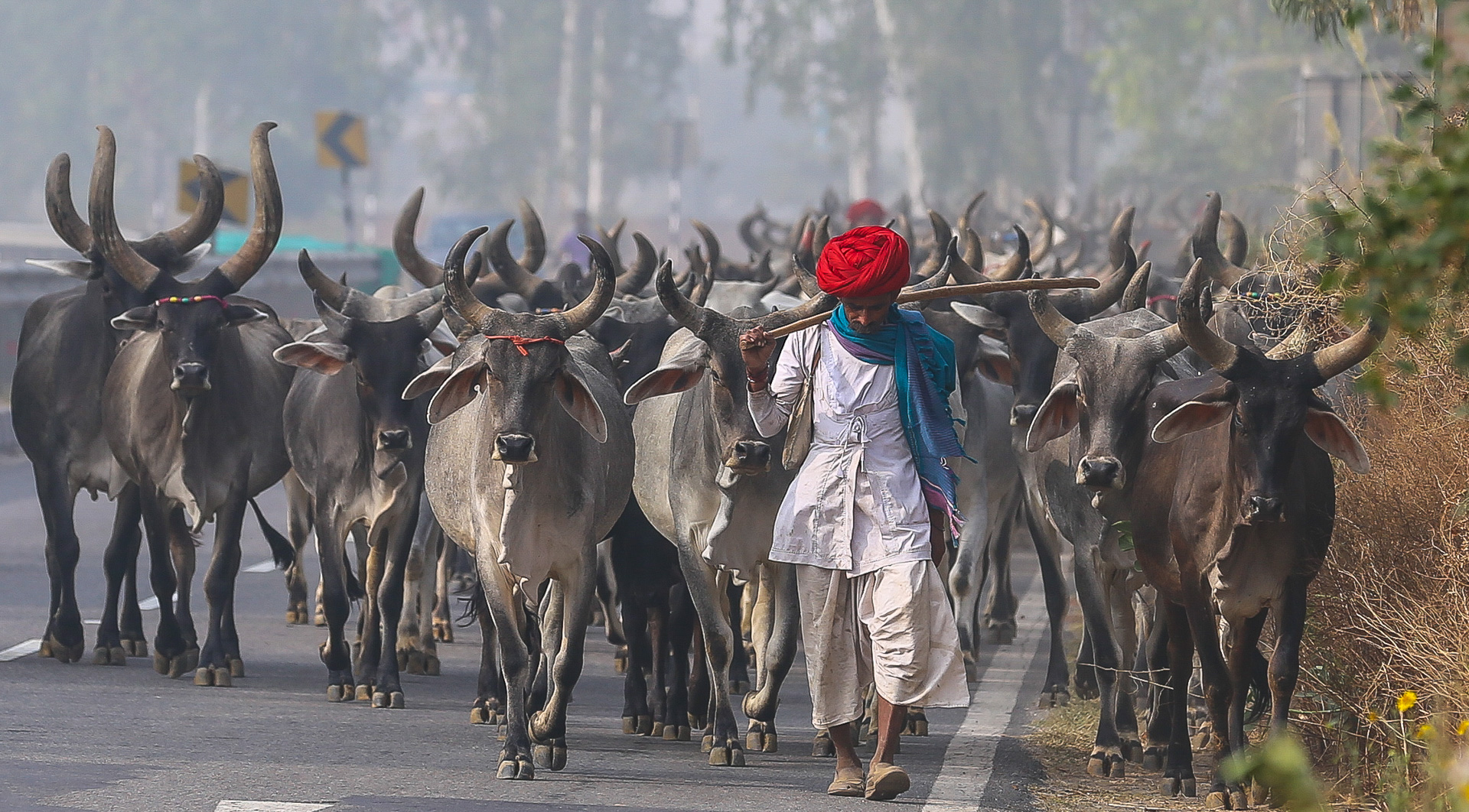 Entre Alwar, Delhi et Bombay