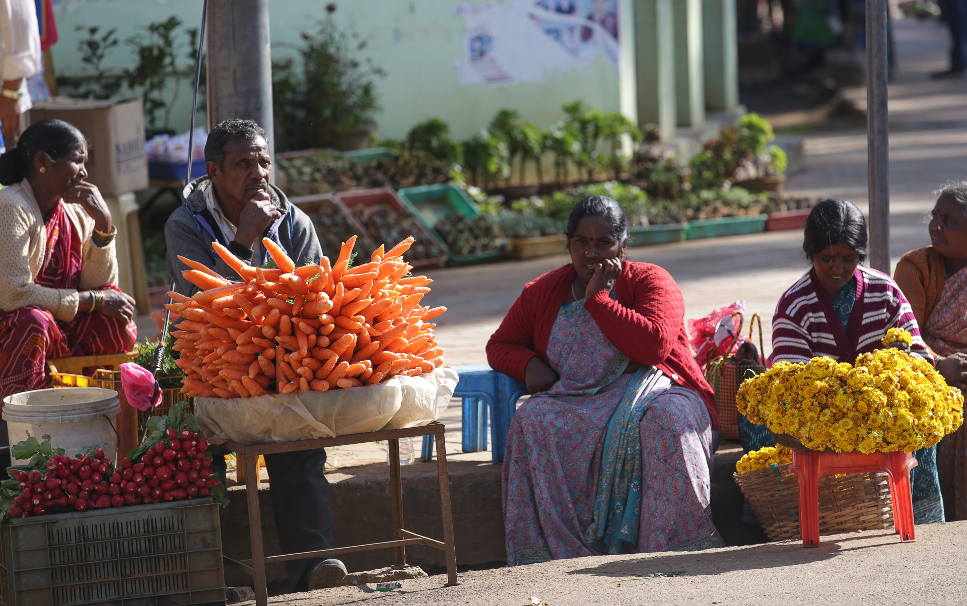 De Mysore à Ooty