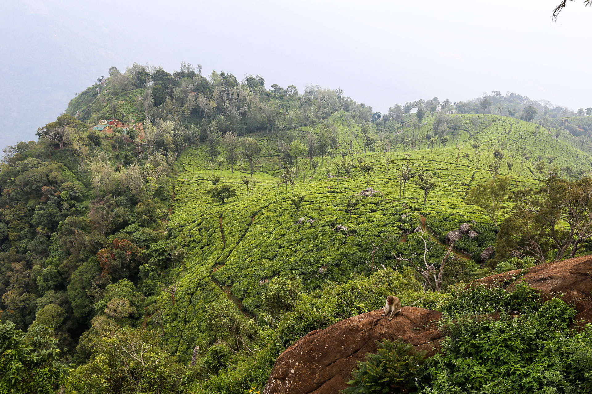 Autour de Ooty