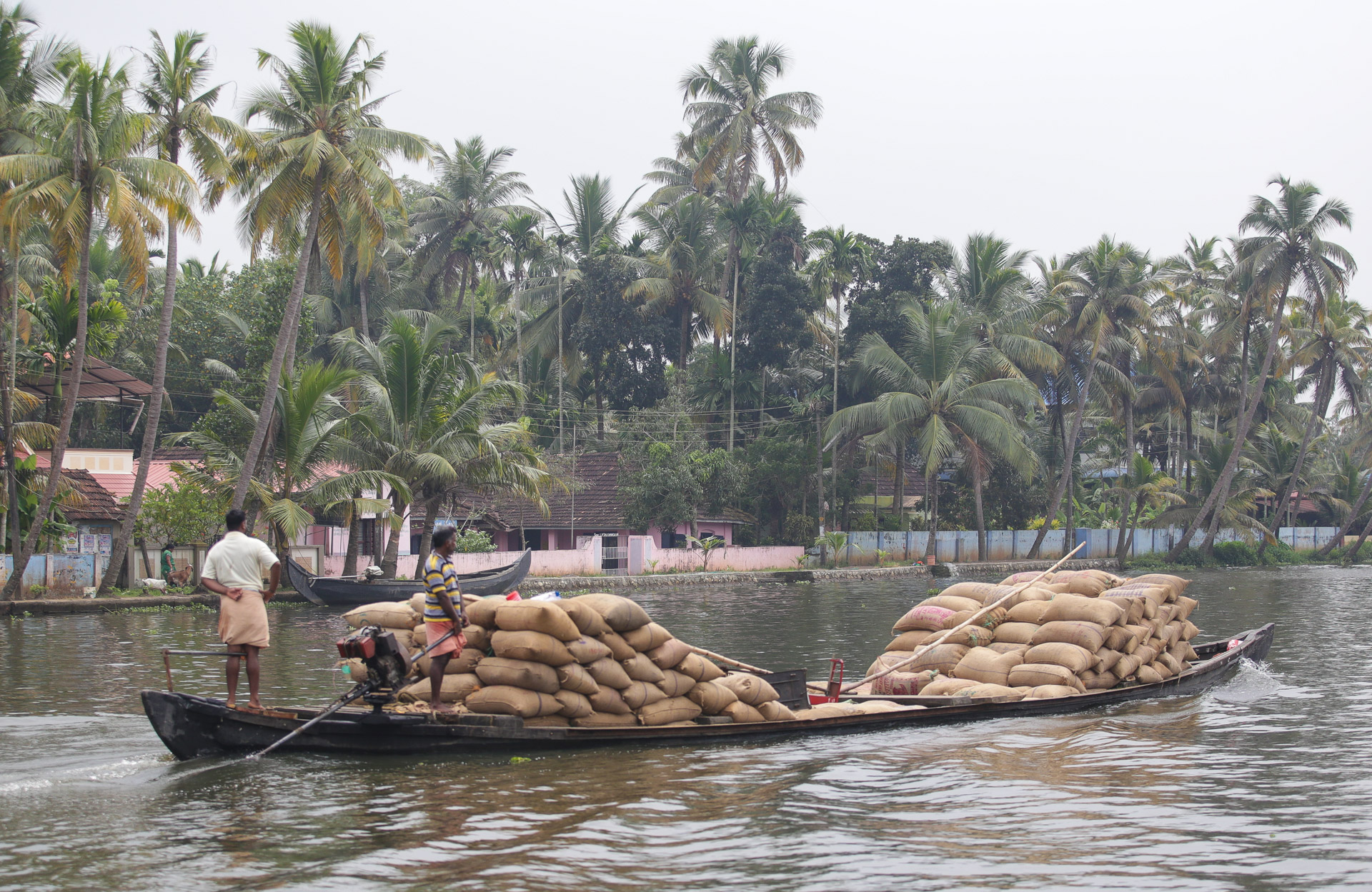 Les Backwaters du Kerala