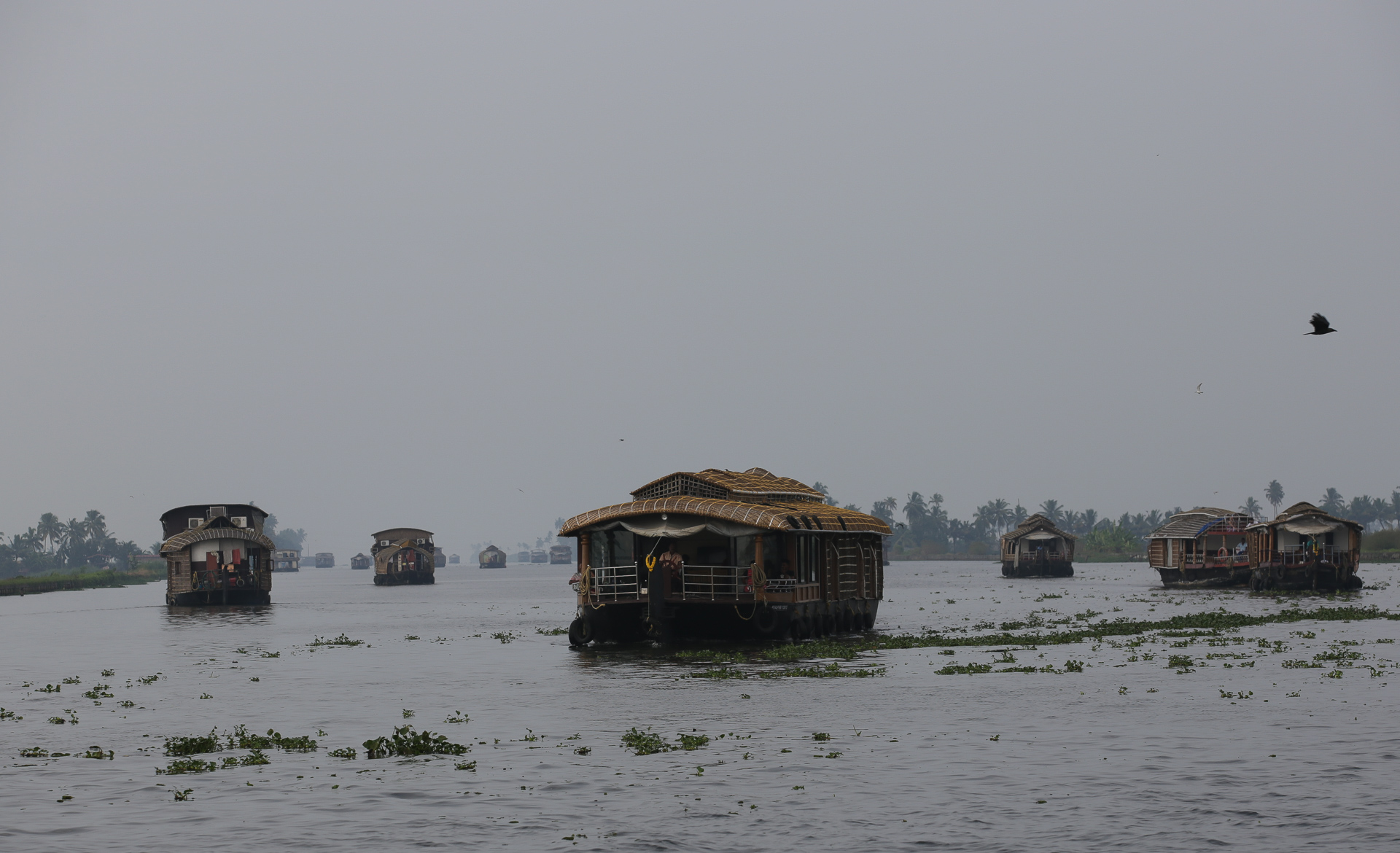 Les Backwaters du Kerala