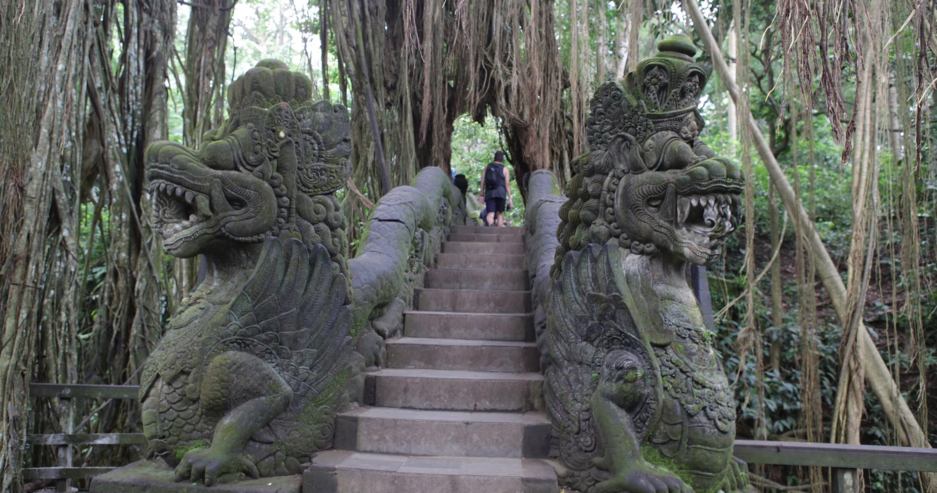 Monkey Forest d’Ubud