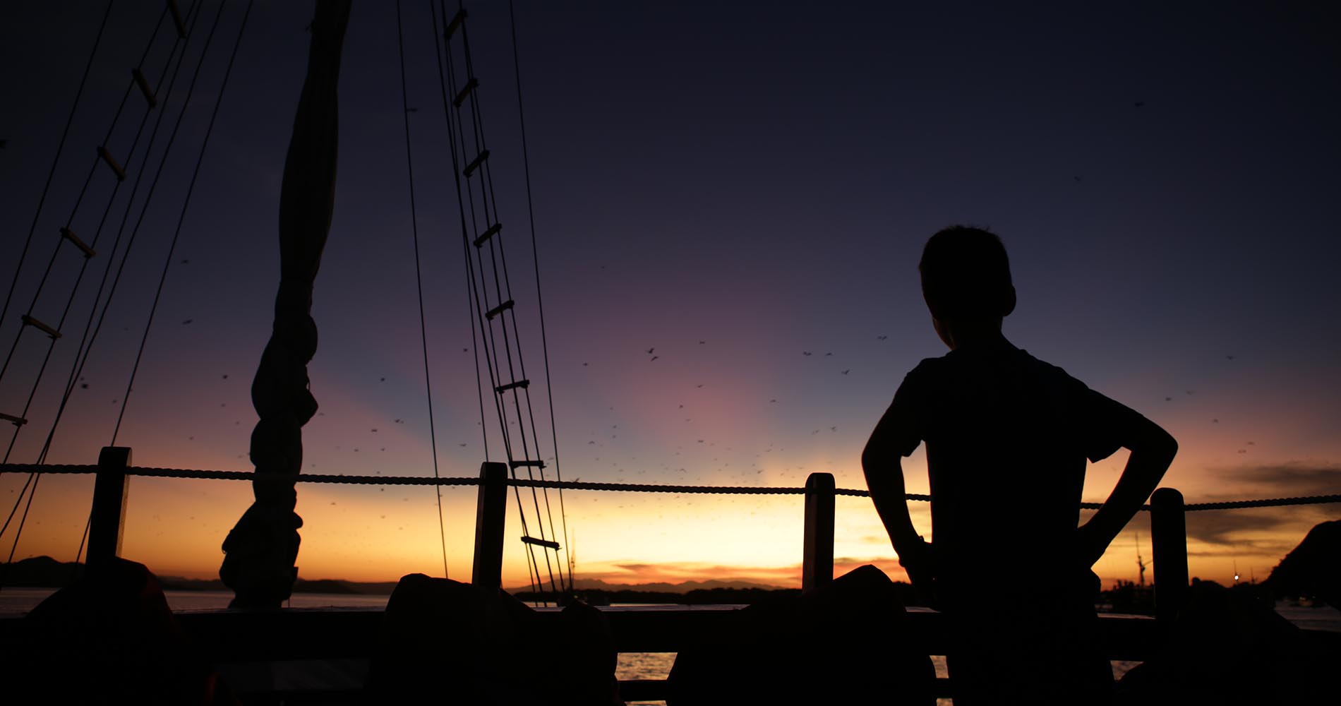 envol de milliers de roussettes au coucher du soleil