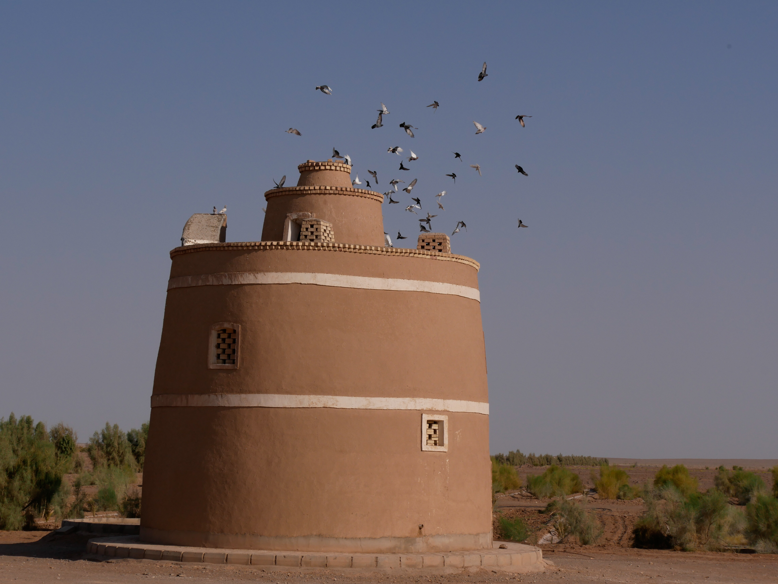 Pigeonnier en activité