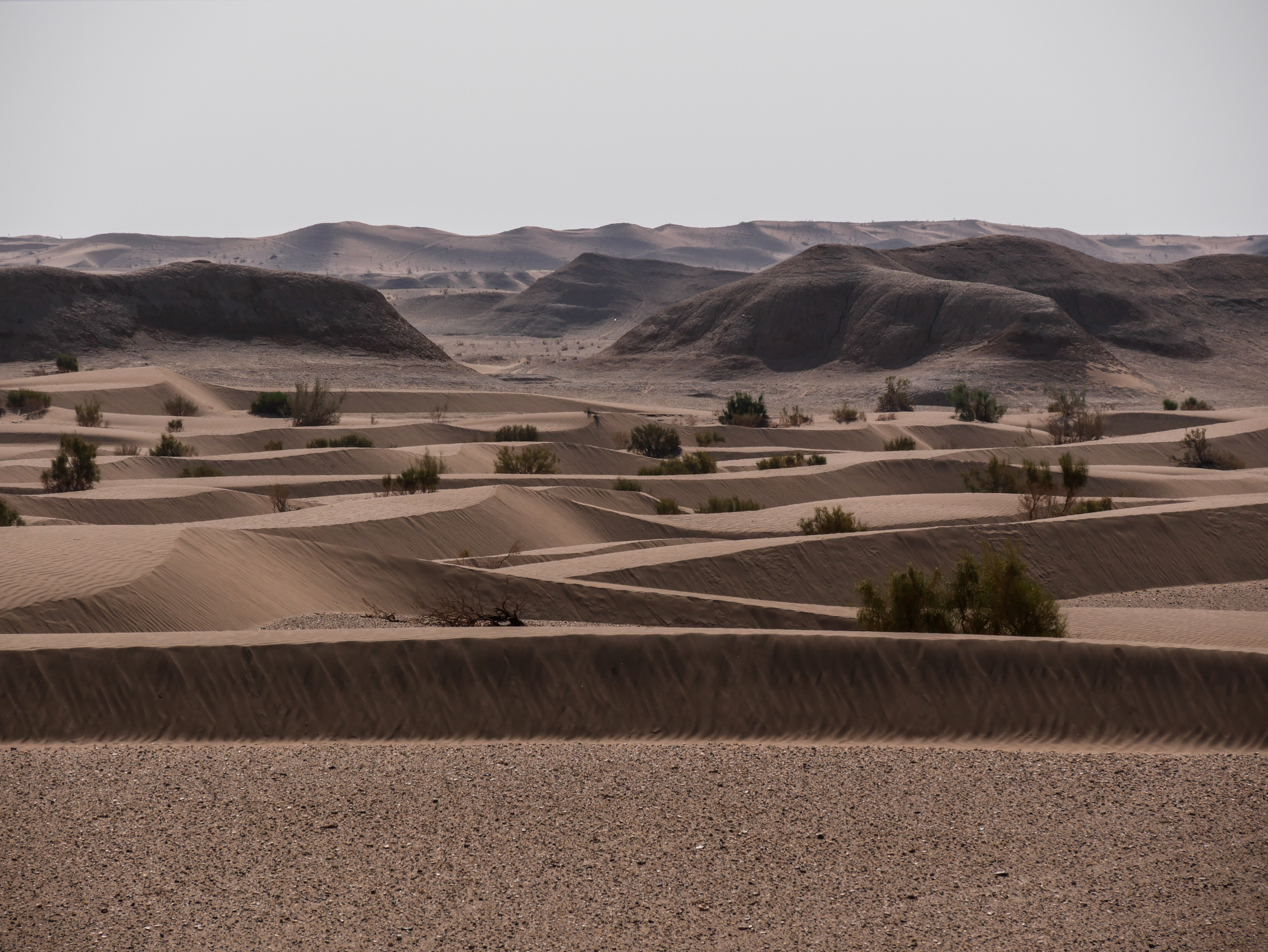 dunes