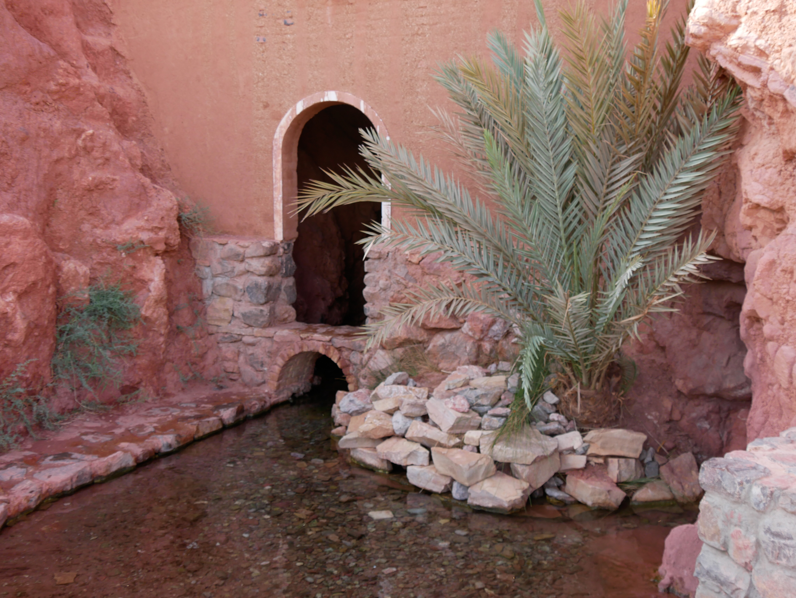 Source de l'oasis de Garmeh